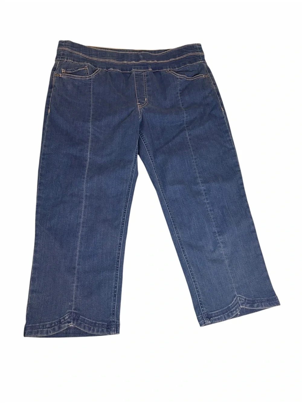 reCreation Dark Rinse Straight-Leg Cropped Stretch Pull On Jeans Plus Size 14